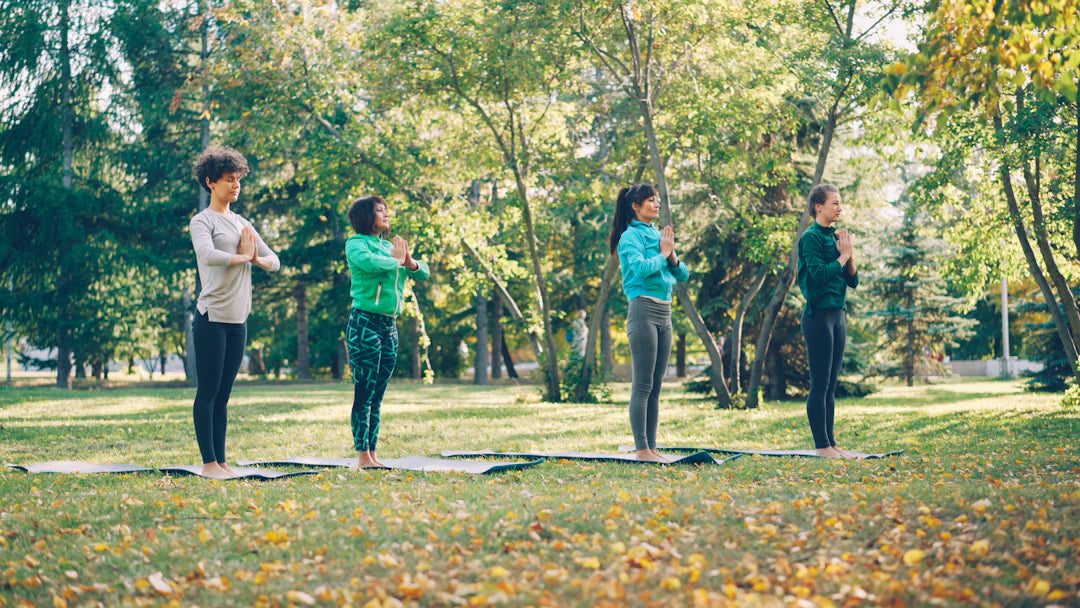 Debunking Common Myths About Ladies' Sports Bras